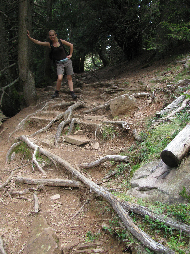 Auf dem Holzweg