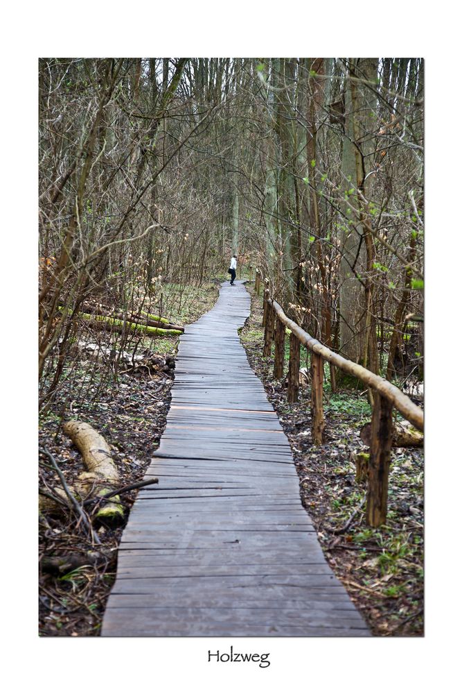 (... auf dem) * Holzweg *