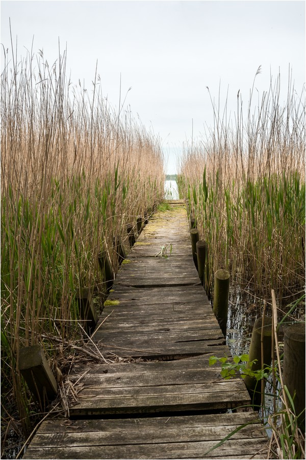 Auf dem Holzweg