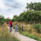 Auf dem Holzweg