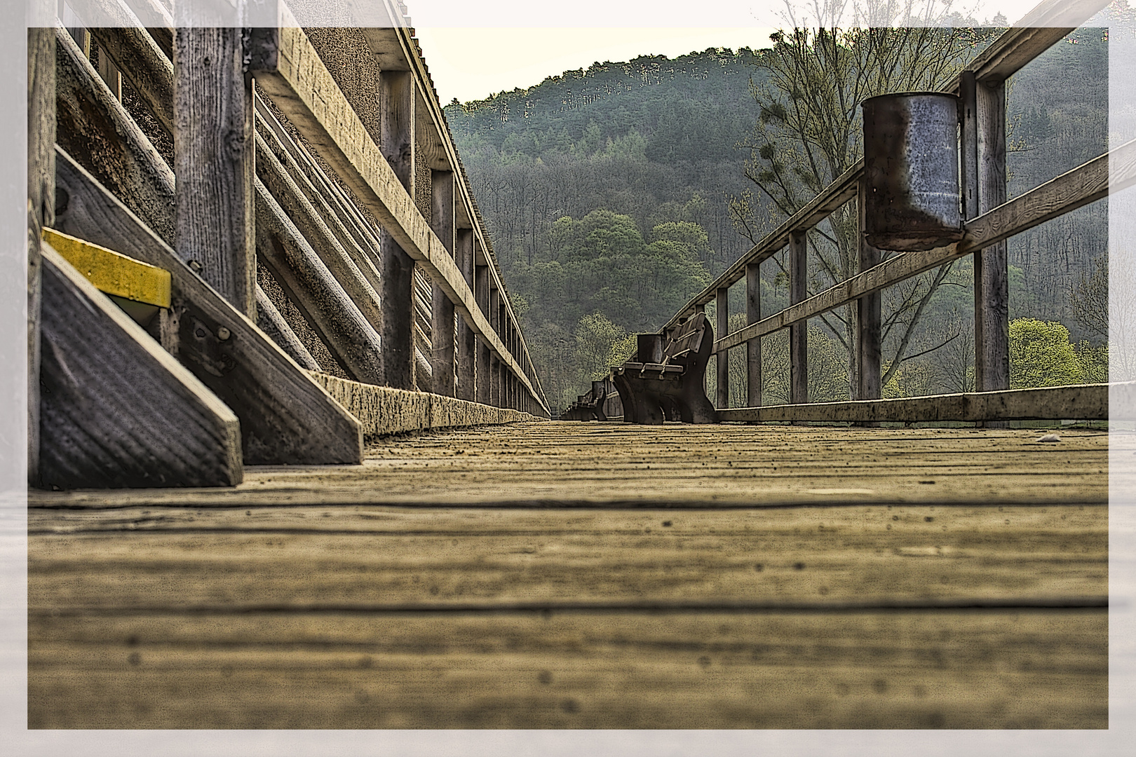 Auf dem Holzweg