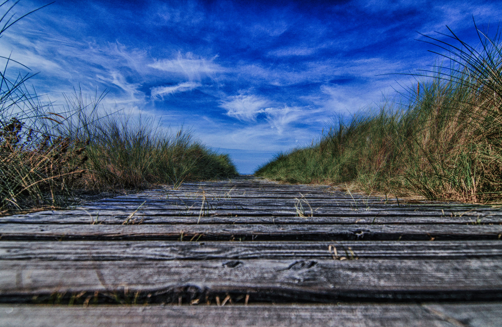 auf dem Holzweg HDR