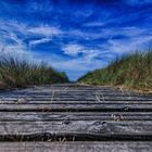 auf dem Holzweg HDR