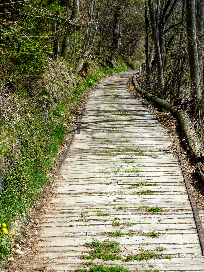  "auf dem Holzweg sein"