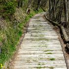  "auf dem Holzweg sein"