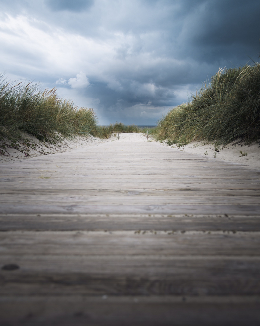 Auf dem „Holzweg“ zum Meer