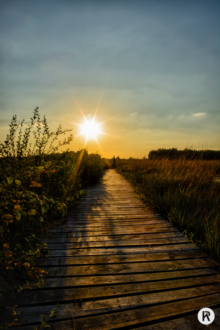 Auf dem Holzweg zum Sonnenuntergang