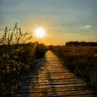 Auf dem Holzweg zum Sonnenuntergang