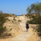 auf dem Holzweg (zum Strand)