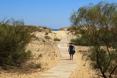 auf dem Holzweg (zum Strand)