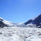 Auf dem Icefield