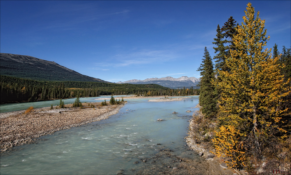 Auf dem Icefields Parkway .....