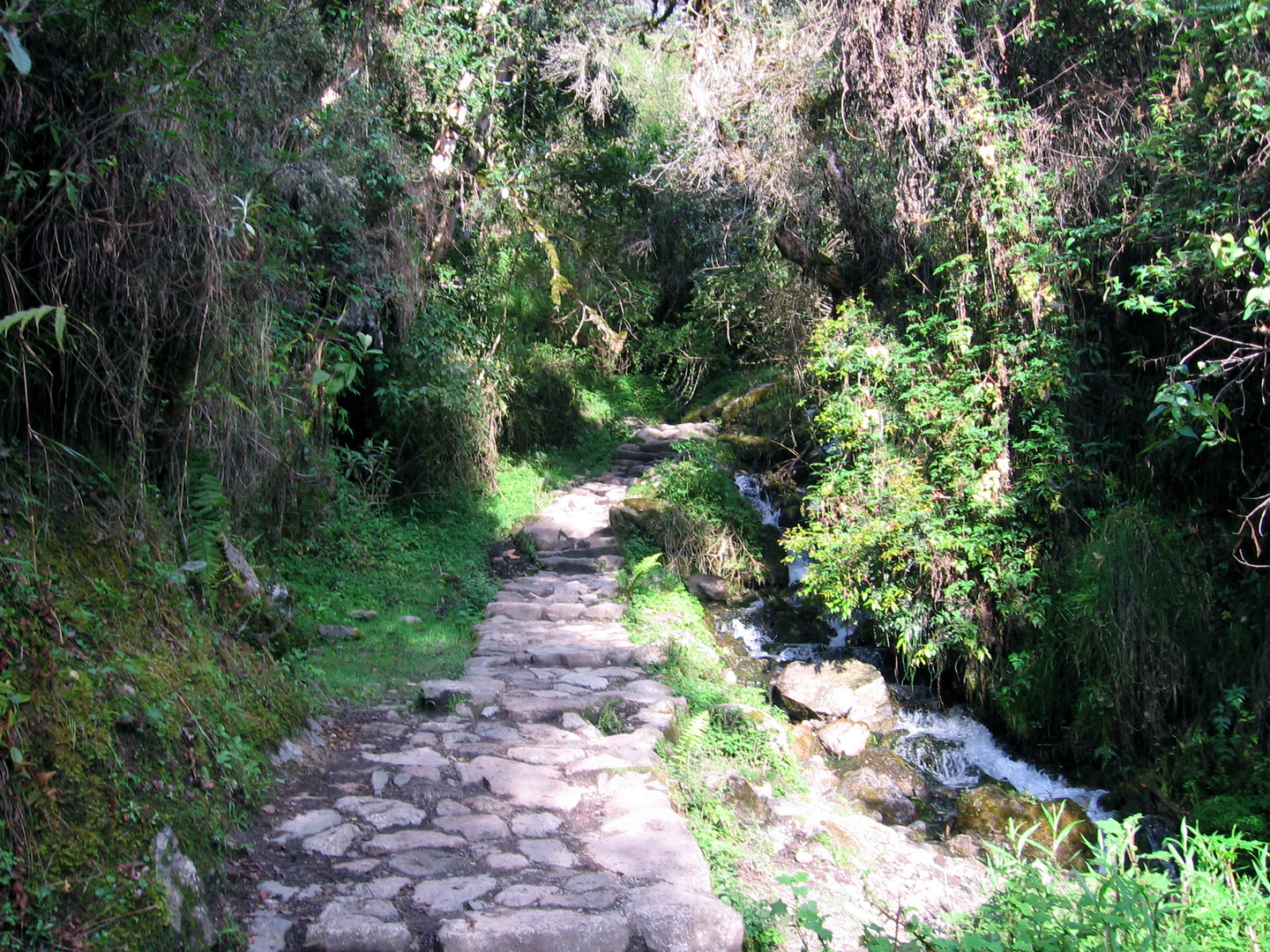 Auf dem Inkatrail