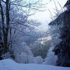 Auf dem Inselsberg (im Thüringer Wald)