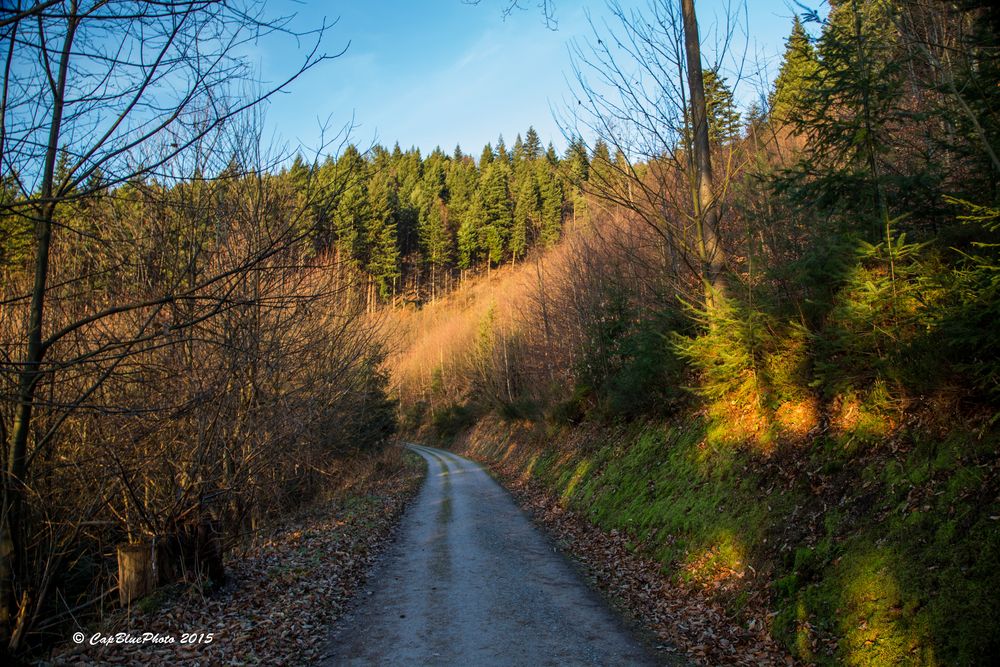 Auf dem Jägerweg in Kappelwindeck