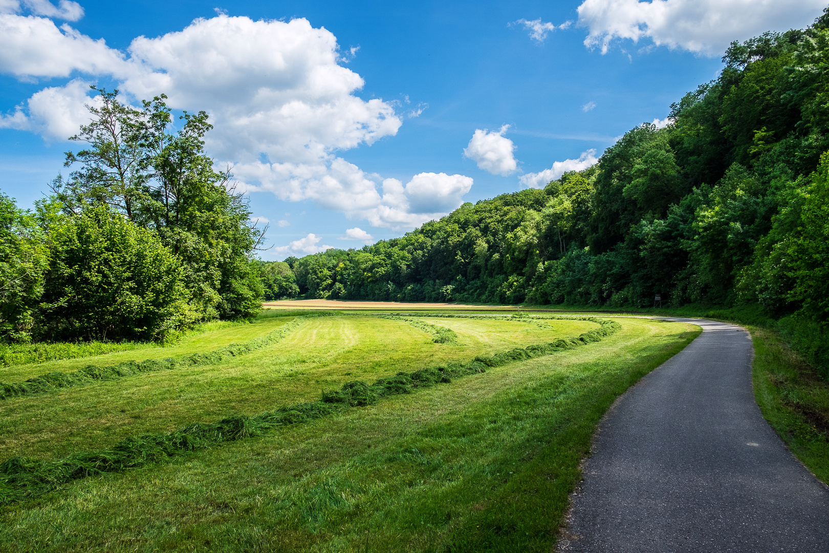 Auf dem Jagstradweg