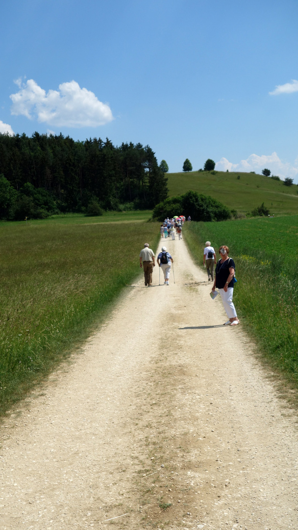 Auf-dem-Jakobsweg-