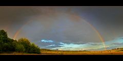 Auf dem jetzt friedlichen Kriegberg im Regen am Abend