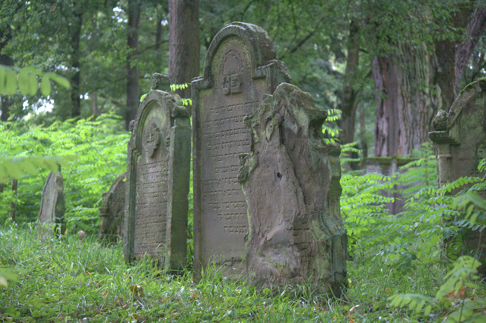 Auf dem Judenfriedhof 2