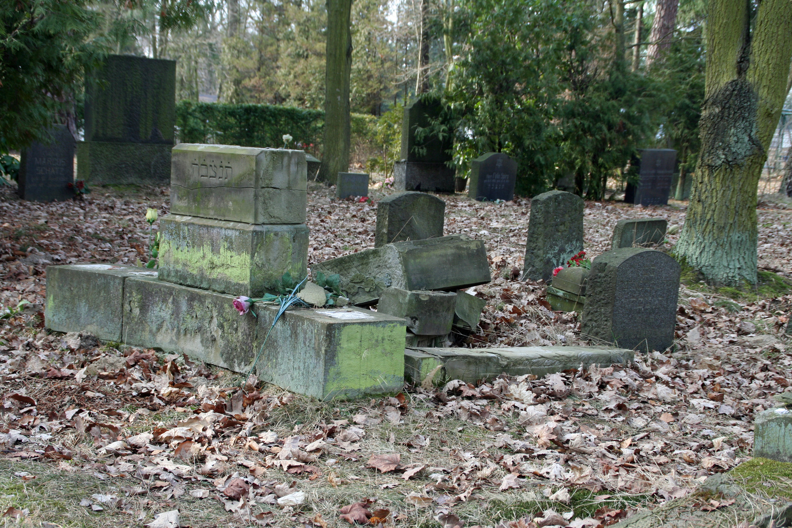 Auf dem jüdischen Friedhof 1