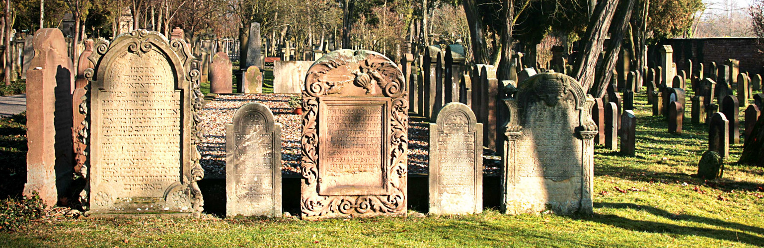 auf dem jüdischen Friedhof