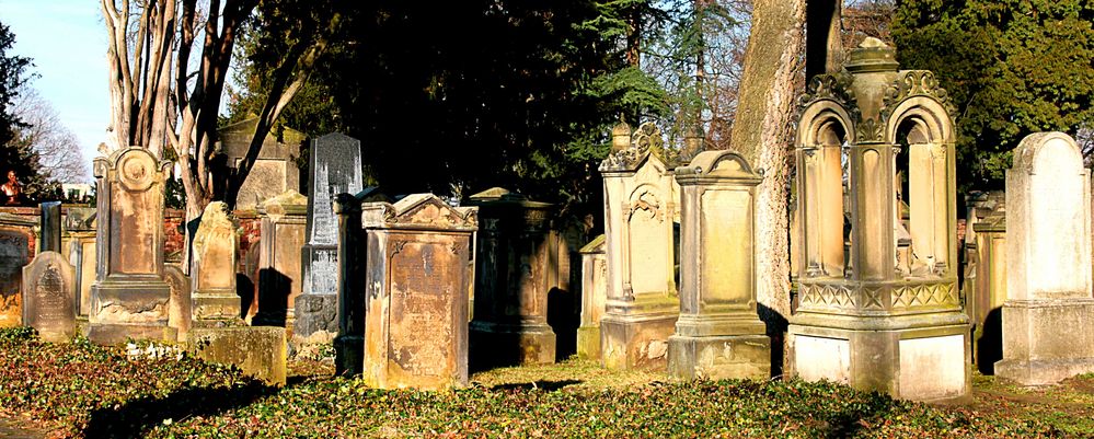 auf dem jüdischen Friedhof  I