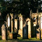 auf dem jüdischen Friedhof III