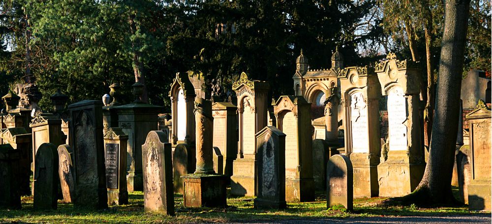 auf dem jüdischen Friedhof III