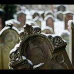 Auf dem Jüdischen Friedhof in Haigerloch