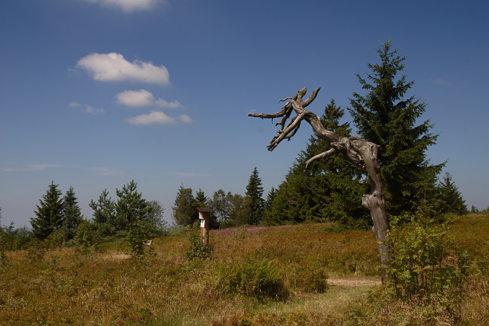 Auf dem Kahlen Asten