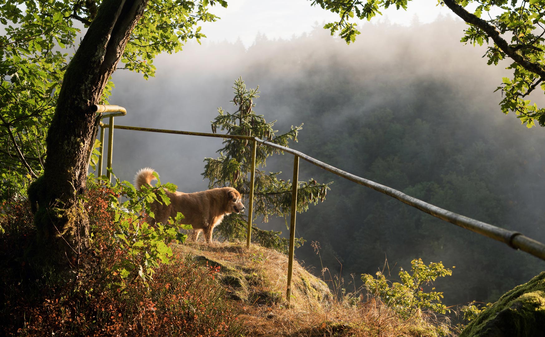 auf dem Kaiben Felsen