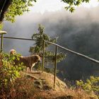 auf dem Kaiben Felsen