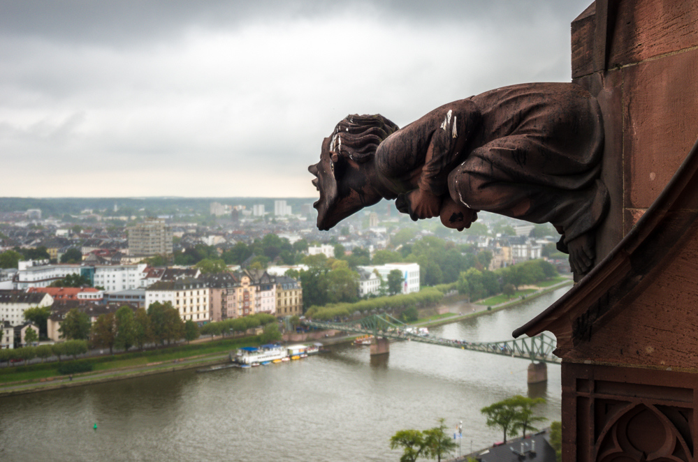 Auf dem Kaiserdom in Frankfurt