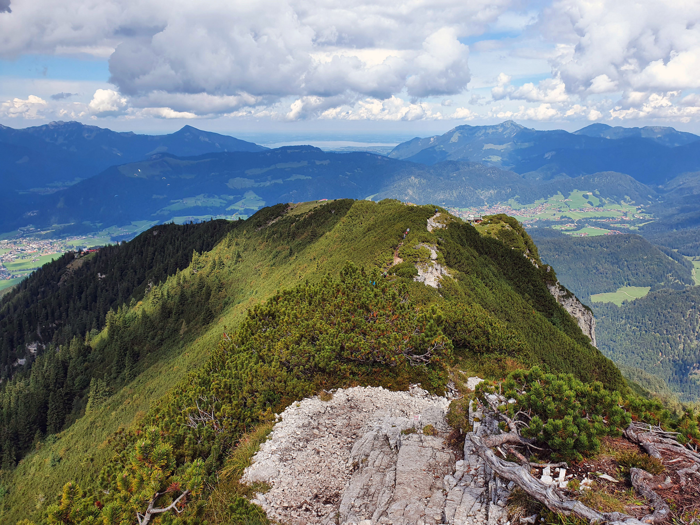 auf dem Kamm