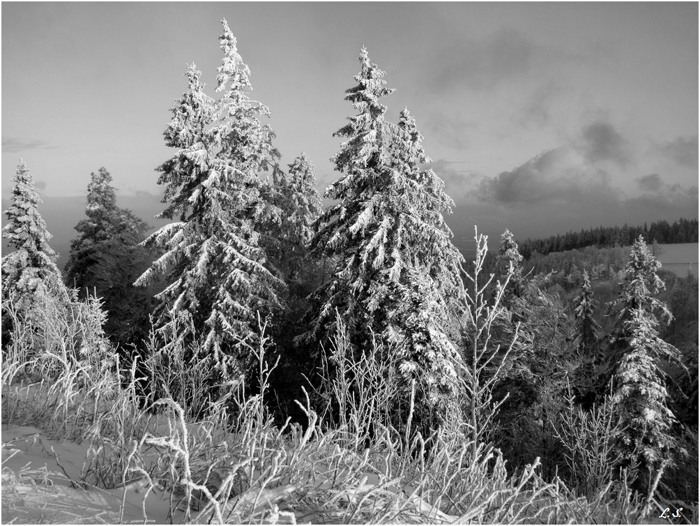 auf dem Kandel im Winter