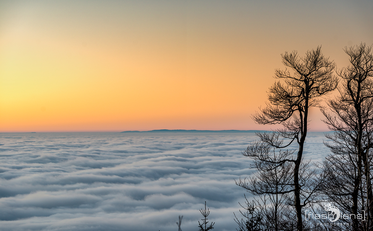 Auf dem Kandel und über den Wolken