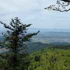 auf dem Kandel von der Thomashütte