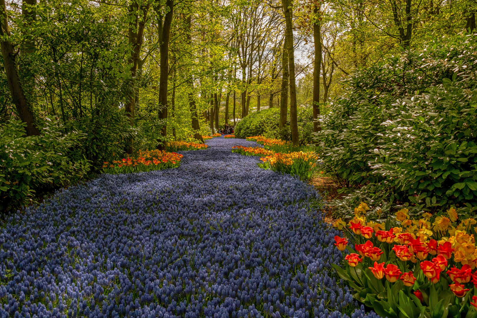 Auf dem Keukenhof