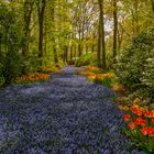 Auf dem Keukenhof