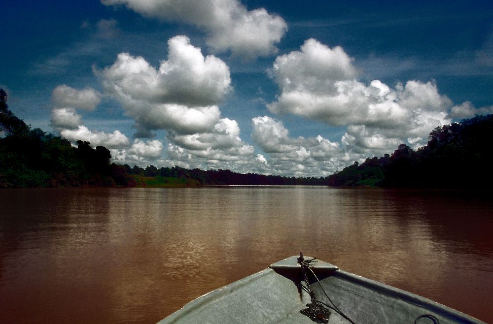 Auf dem Kiabatangan Fluss