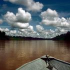 Auf dem Kiabatangan Fluss