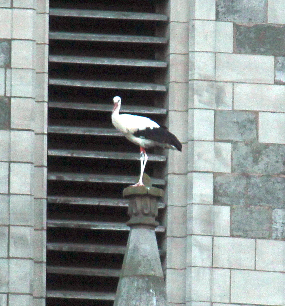 Auf dem Kirchturm