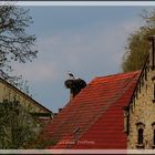 Auf dem kleinen Haus in Linum