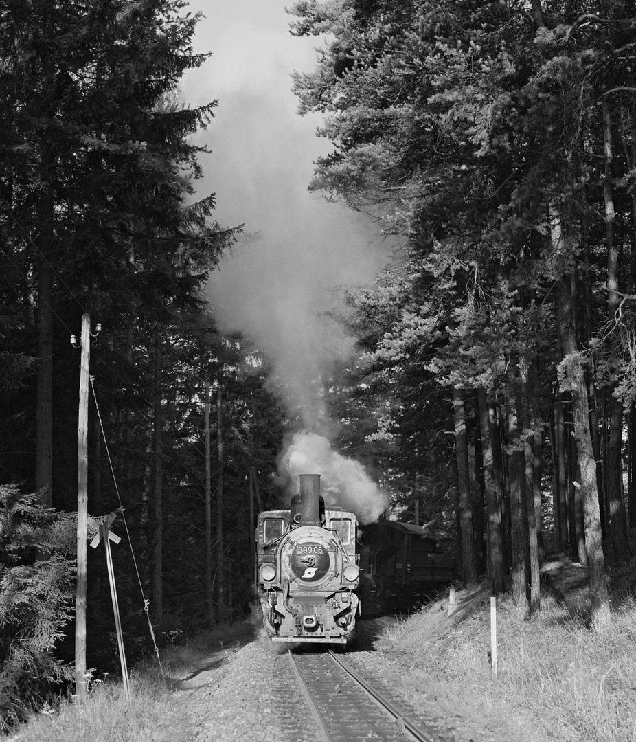 Auf dem Kleinen Semmering (4)