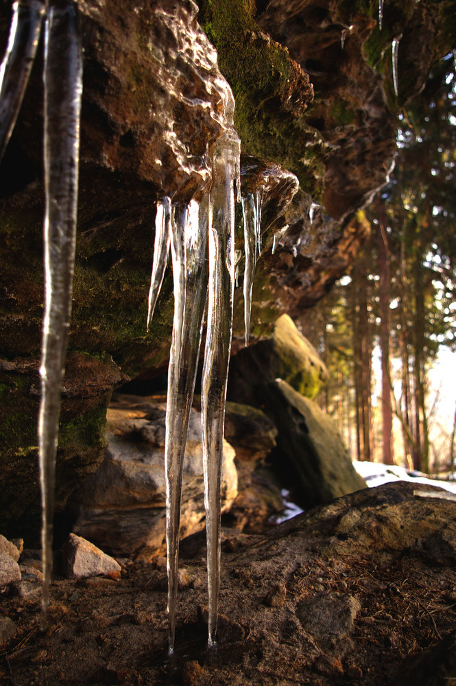 Auf dem kleinen Zschirnstein