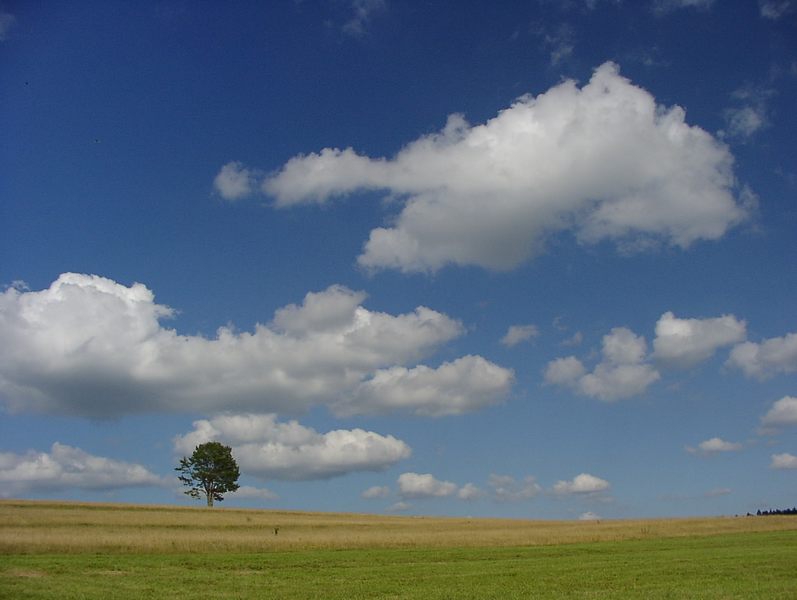 Auf dem Klippeneck-Schwäbische Alb