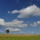 Auf dem Klippeneck-Schwäbische Alb