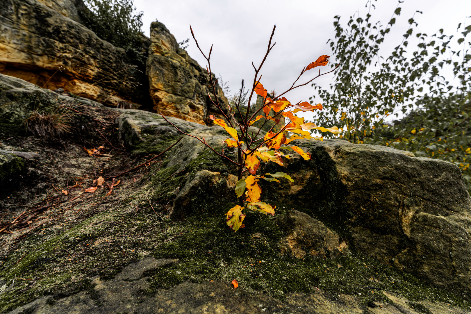 Auf dem Klusfelsen