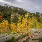 Auf dem Klusfelsen