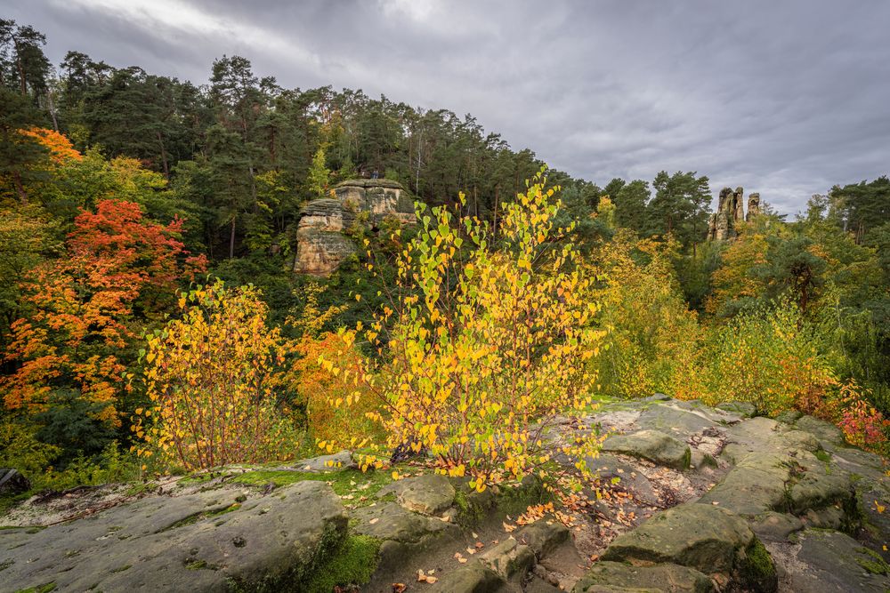 Auf dem Klusfelsen